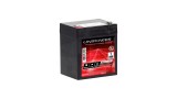 BATERIA UNIPOWER 12V 4.5AH(UP1245)