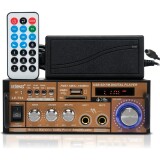 AMPLIFICADOR DE SOM AMBIENTE LELONG LE-704 120W 110V