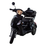 BICICLETA TRICICLO ELETRICO WEHAWK 800W - BATERIA 48V 20AH 40KM AUTONOMIA