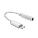 ADAPTADOR LIGHTNING IPHONE PARA P2 MICROFONE