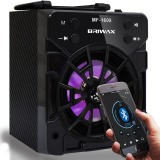 MINI RADIO BRIWAX FM/USB/SD/AUX