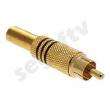 PLUG RCA DOURADO