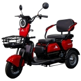 BICICLETA TRICICLO ELETRICO WEHAWK 800W - BATERIA 48V 20AH 40KM AUTONOMIA